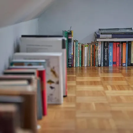 Matic Spacious Modern * 卢布尔雅那