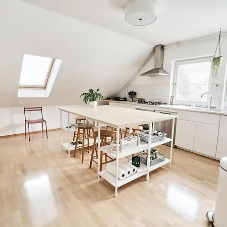 Matic Spacious Modern *