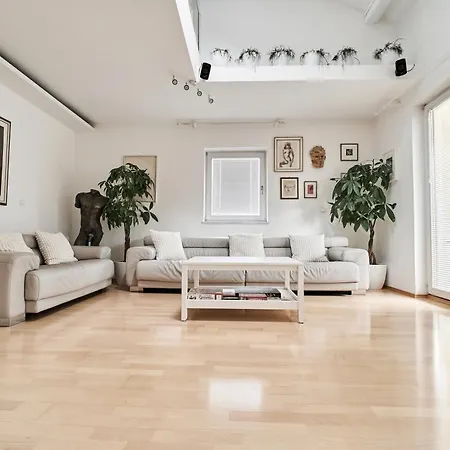Matic Spacious Modern 卢布尔雅那