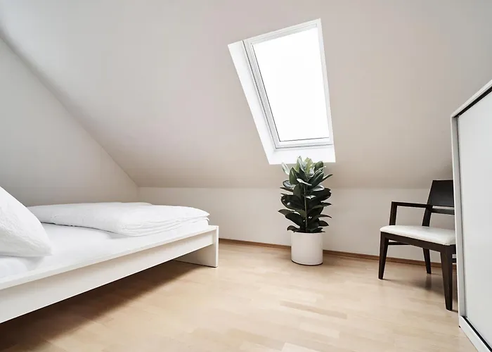 Matic Spacious Modern